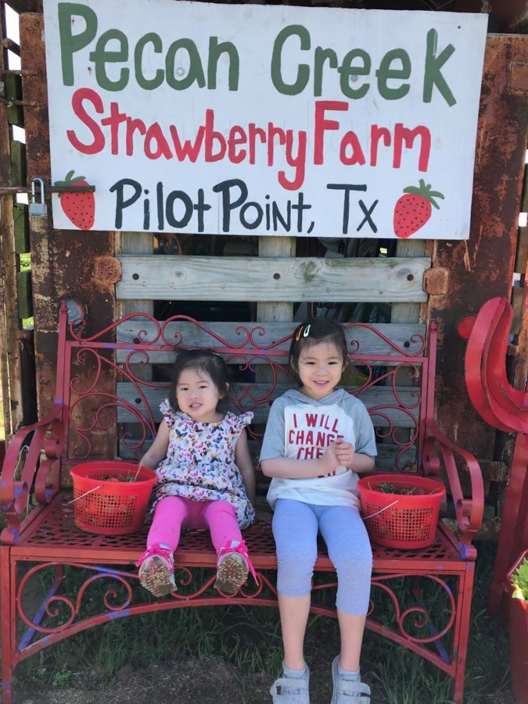 How do you say strawberry in Mandarin Chinese?